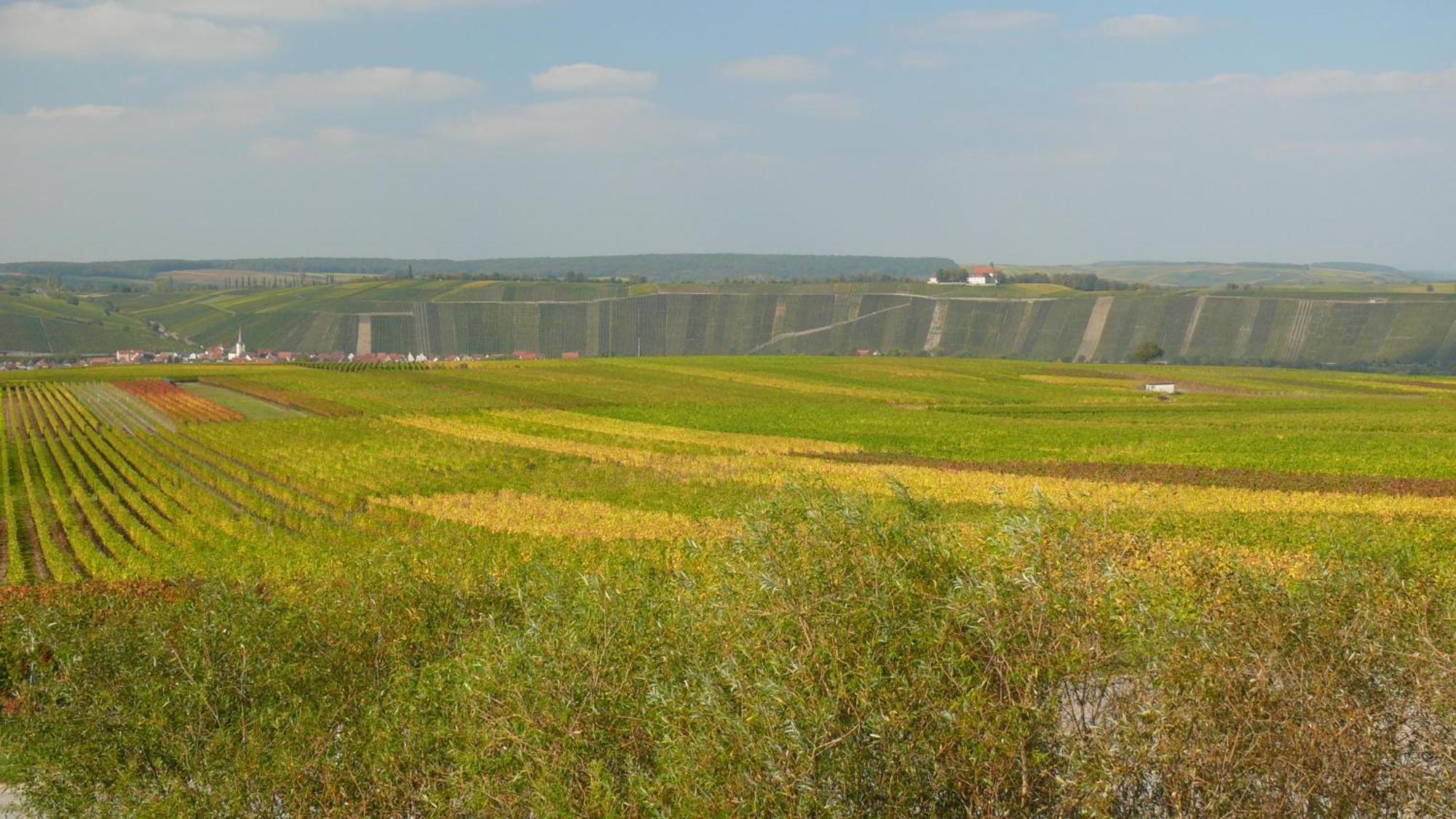 Weingut Herbert Kram Nordheim am Main Exterior foto
